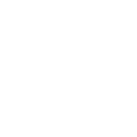 Silver Fern